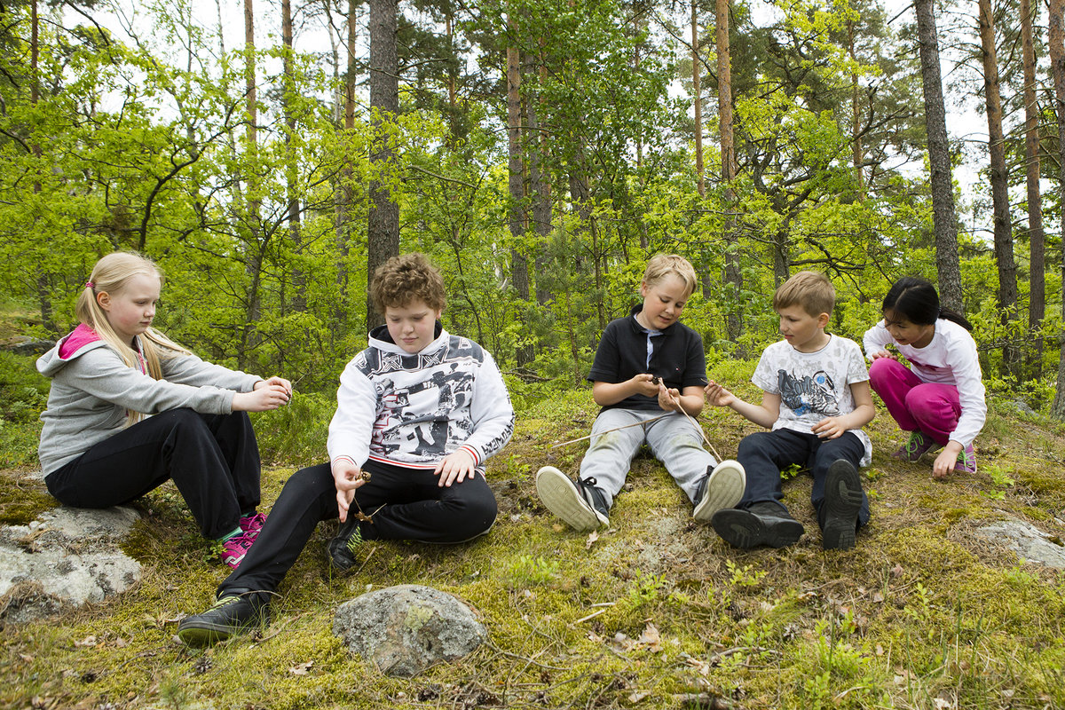 Lapset istuvat metsässä