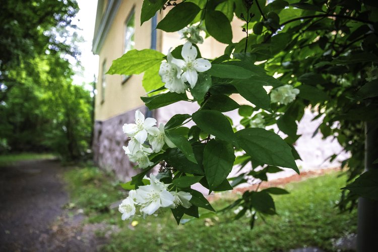 Kepeästi kesään -yhteislaulutilaisuus Kepeästi kesään -yhteislaulutilaisuus