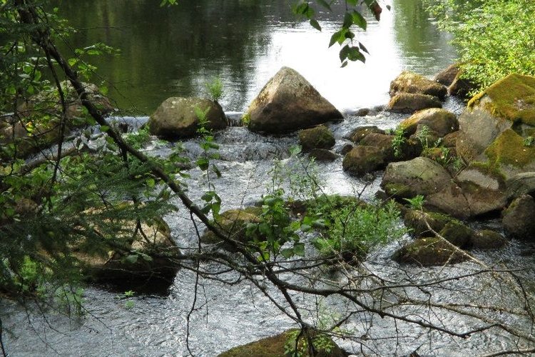 Keskusteluilta lapsensa menettäneille Keskusteluilta lapsensa menettäneille