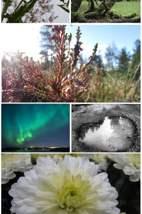 Henrikin valokuvausretket: Luolavuori Henrikin valokuvausretket: Luolavuori