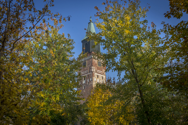 Tuomiokirkon torni, ympärillä syksyisiä puita.