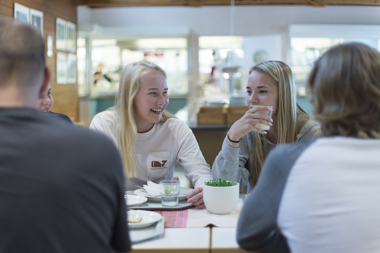 Riparilaiset lounaalla