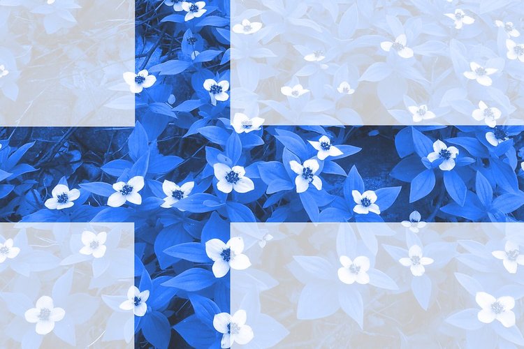 Itsenäisyyspäiväjuhlat Suikkilassa