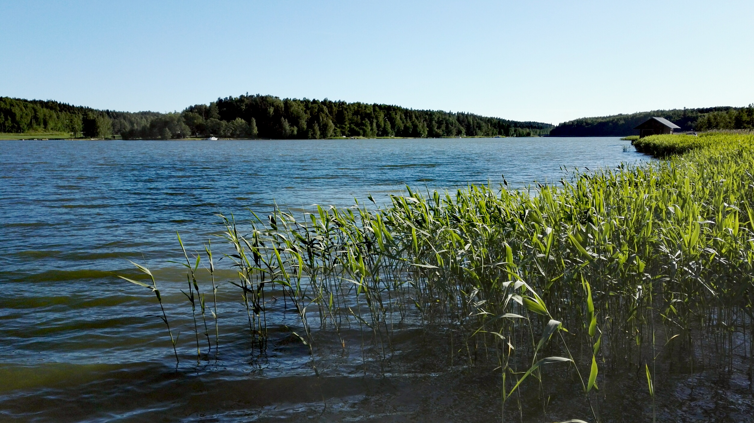Miesten saunailta Hennalassa Hennalan ranta