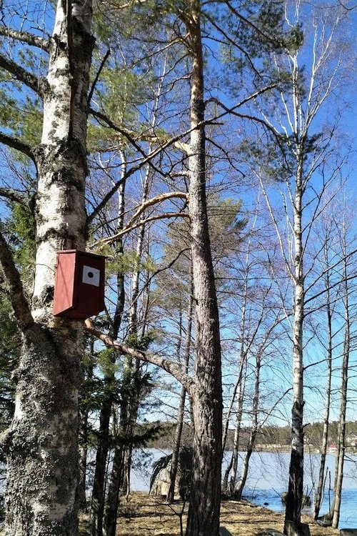 Ilon, valon ja toivon kevätretriitti Ilon, valon ja toivon kevätretriitti