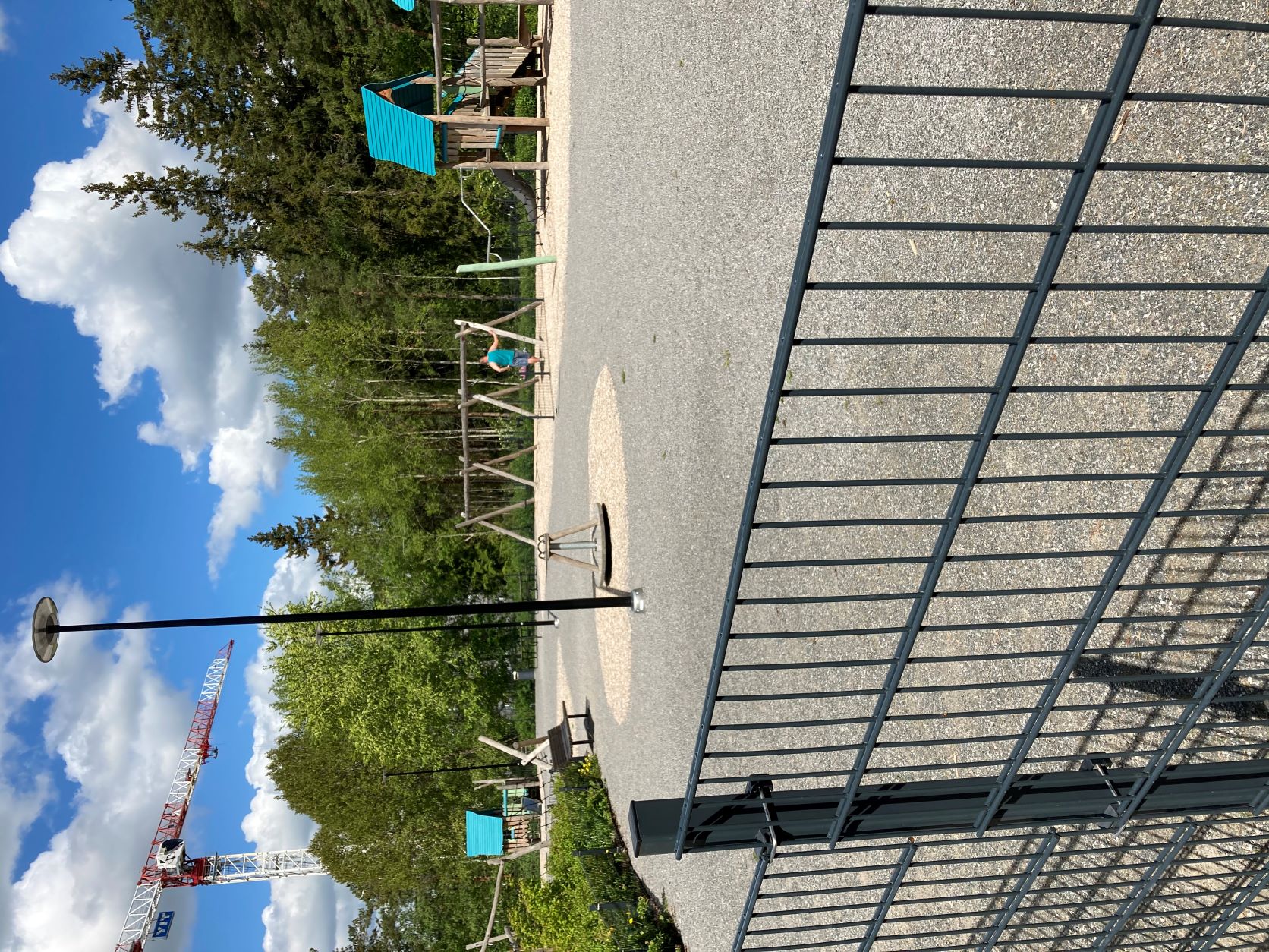 Kirskulinnun leikkipaikka