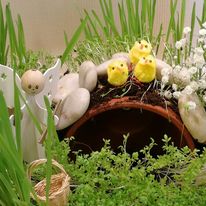 Rairuoho ja tipuja , enkeli.