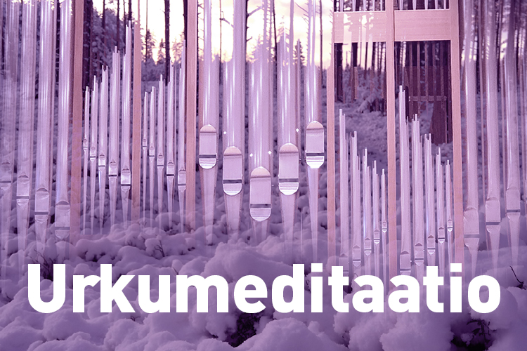 Urkumeditaatio taiteellinen kuva urkupilleistä metsämaisemassa