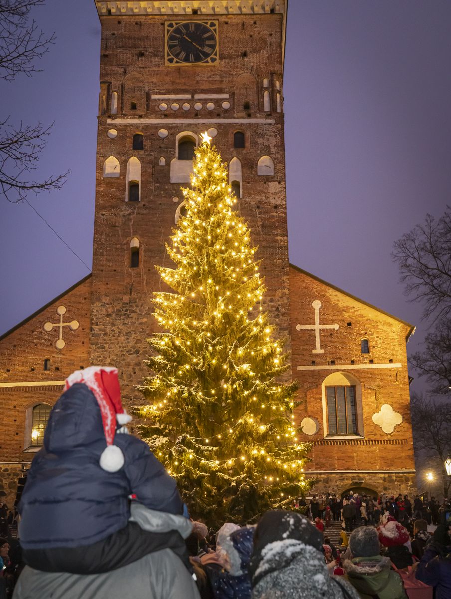 PERUTTU Yksinasuvien yhteinen joulujuhla Turun Tuomiokirkko ja valaistu kuusi sen edessä, lapsi tonttulakissa.
