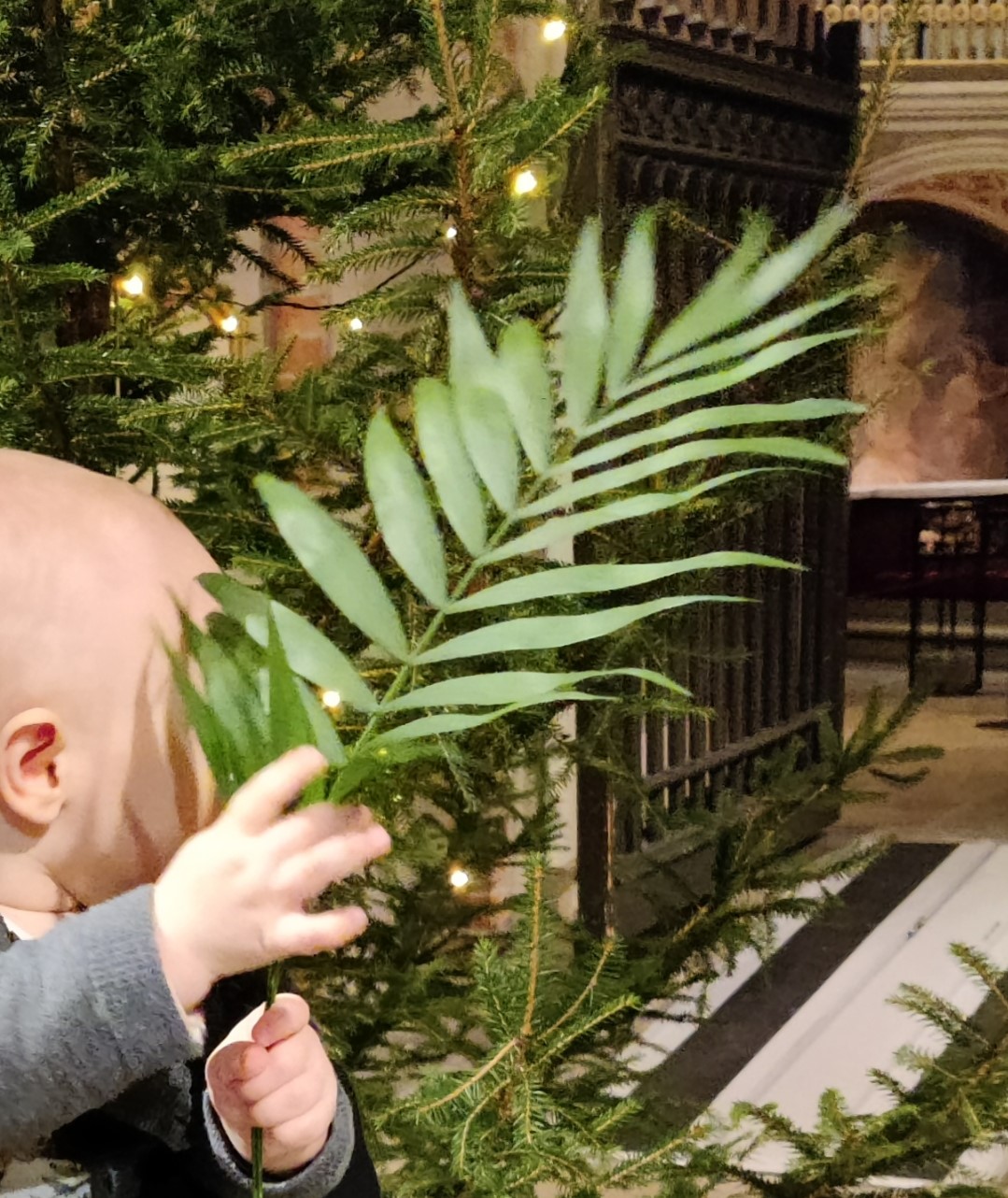 palmunlehvää pitävä lapsi, taustalla joulukuusi