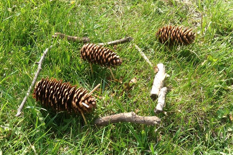 Perheiden kevätkirkko Perheiden kevätkirkko