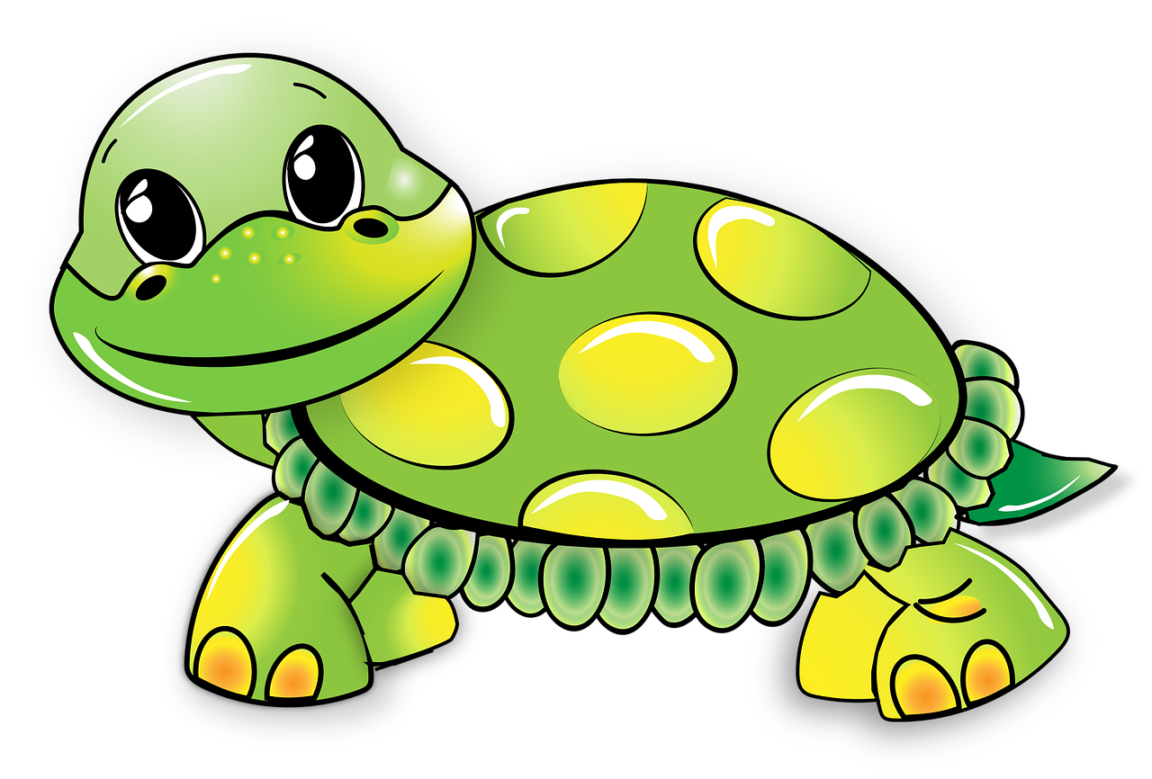 kilpikonna