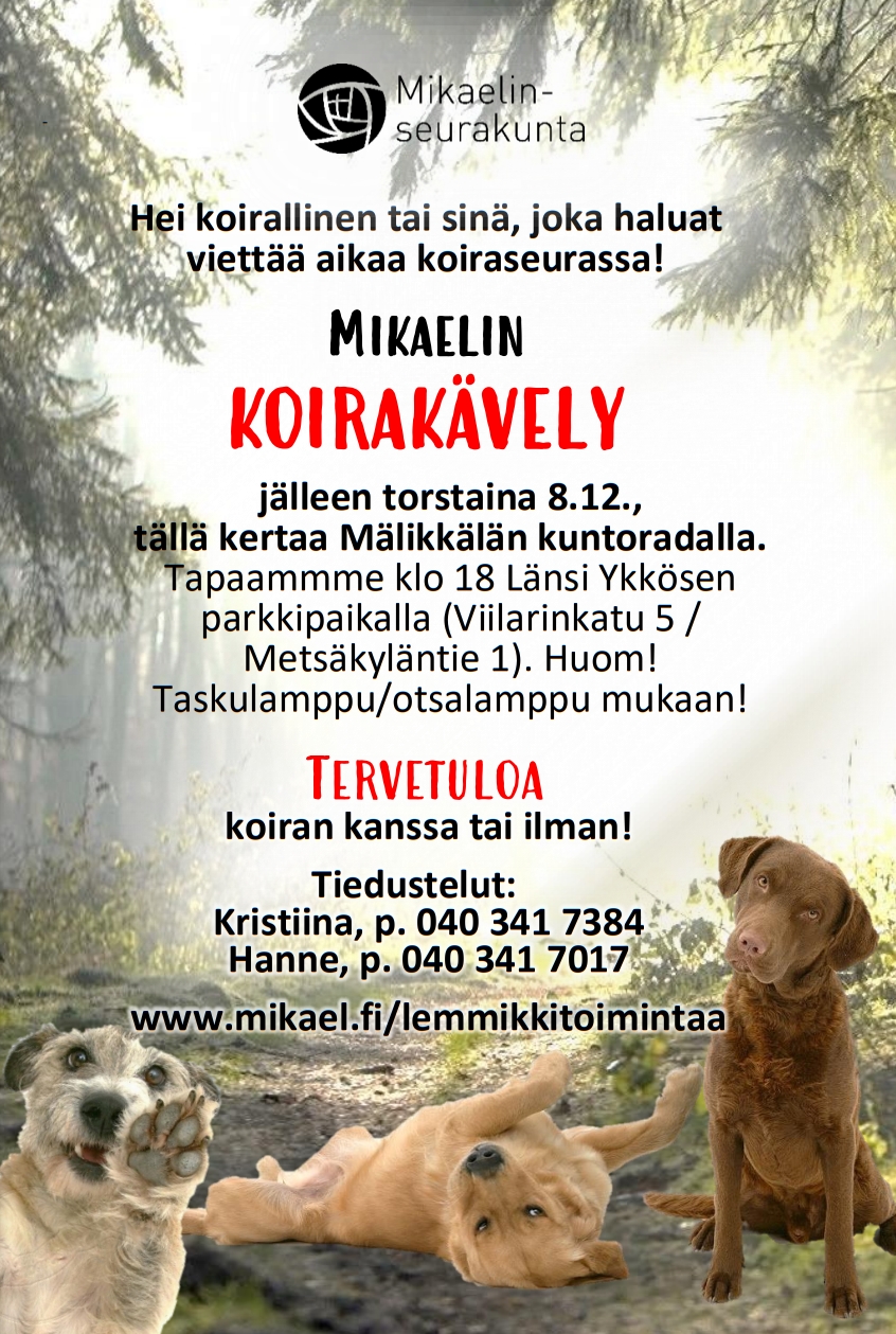 joulukuun kimppalenkkimainos