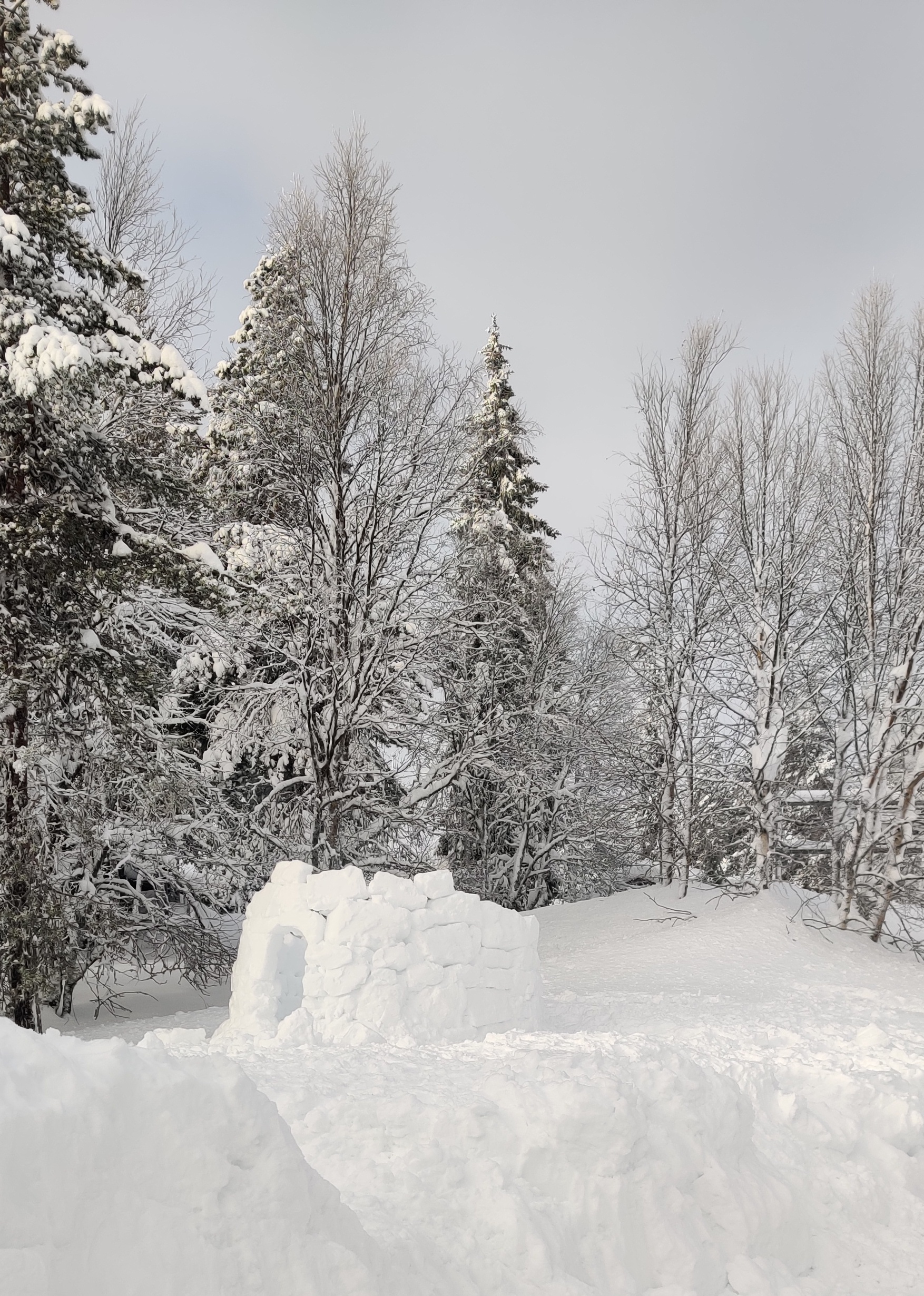Koululaisten ja perheiden retkipäivä Heinänokan leirikeskukseen lumilinna, luminen maisema ja puita