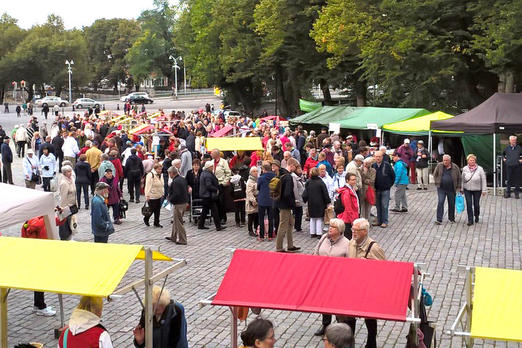 Porkkanamarkkinat Tuomiokirkontorilla Porkkanamarkkinat Tuomiokirkontorilla