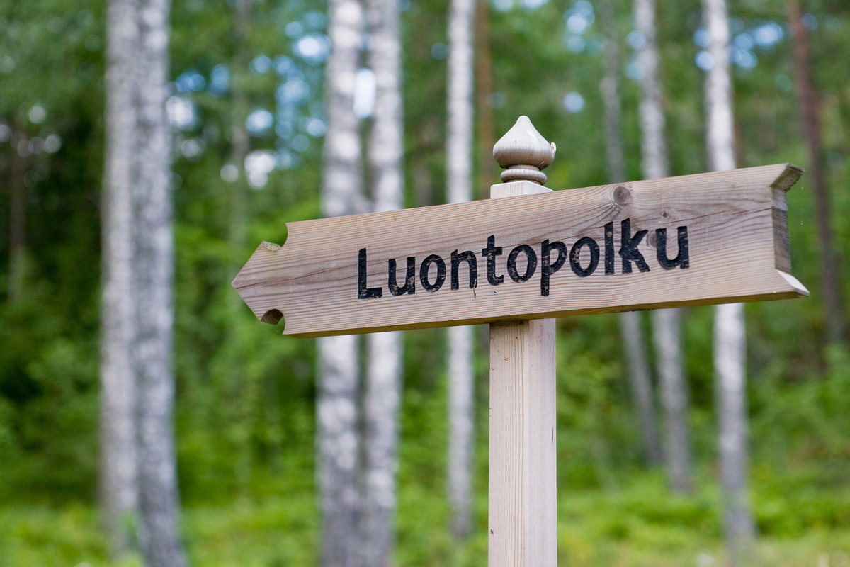 Avaa kuva isommaksi Luontopolku