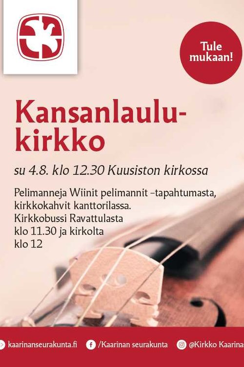 Viulun kielet