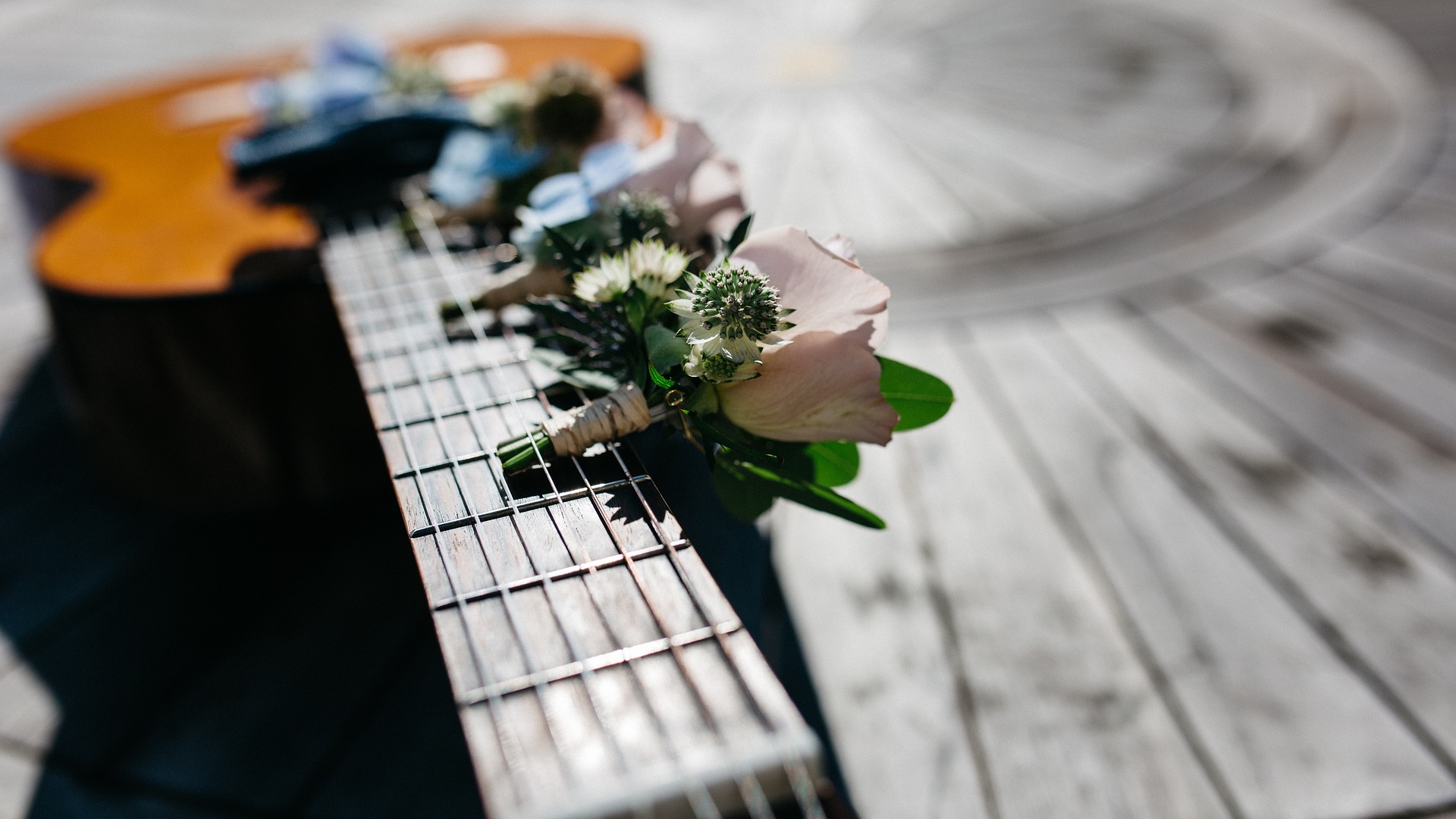 Kukkia kitaran päällä.