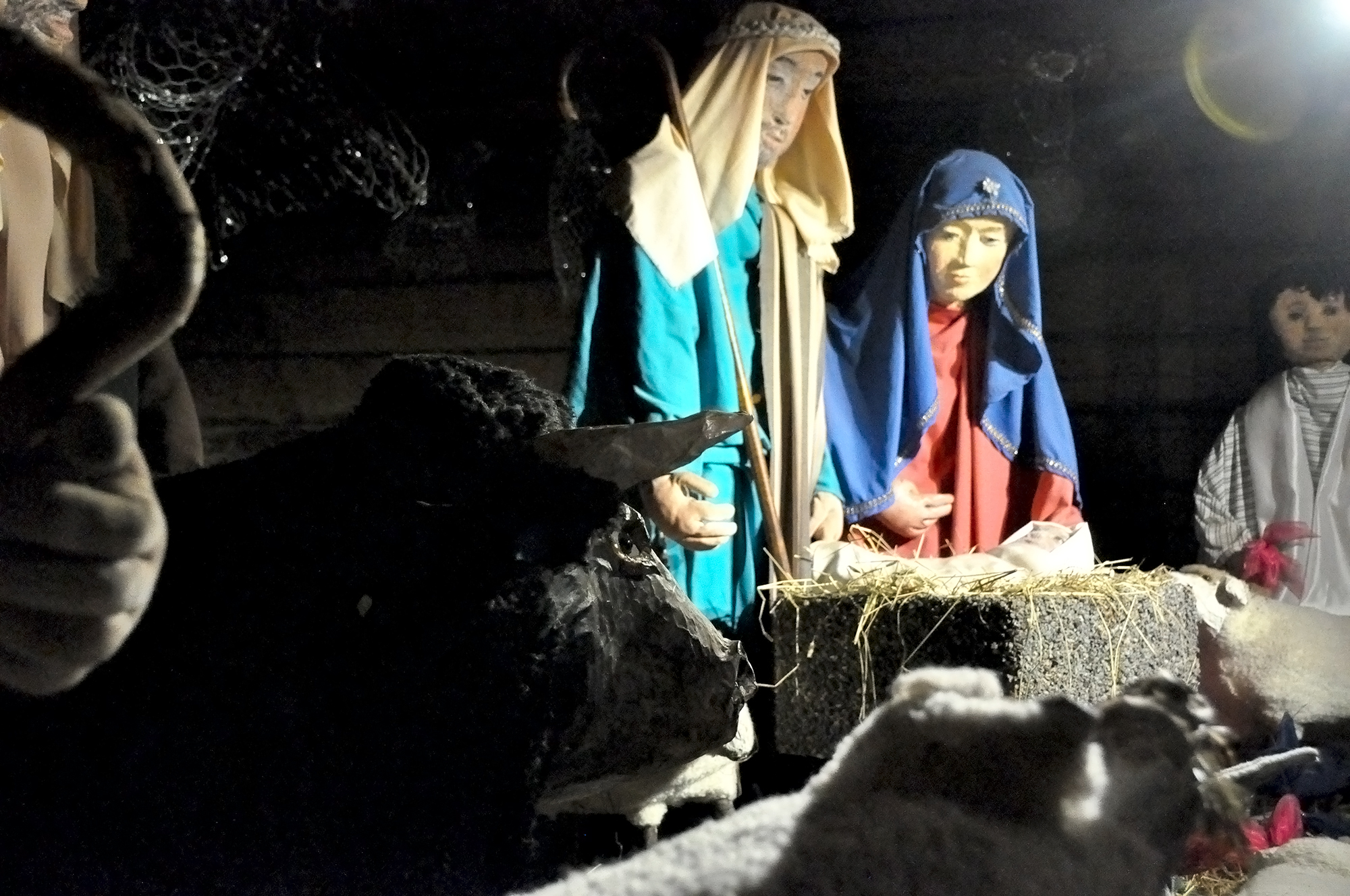 Etualalla härkänukke tarkkailee seimiasetelmaa. Taustalla näkyvät Joosef ja Maria -nuket Jeesuksen seimen ä...
