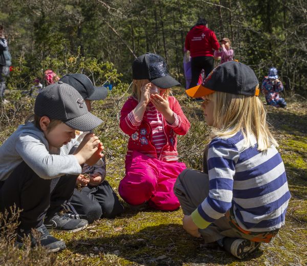 Lapsia luonnossa tutkimassa jotain lasipurkissa olevaa.