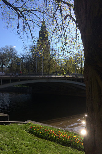 Kuvassa Turun tuomiokirkko, Aurajoki ja tulppaaneja keväällä.