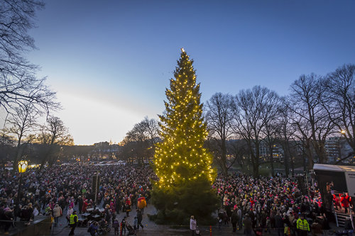 Joulukuusi ja kuusen valot palavat, paljon väkeä Tuomiokirkon edustalla. 