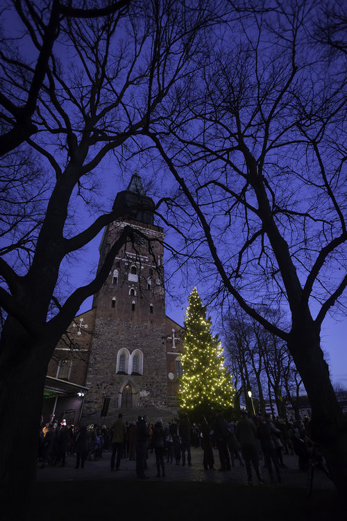 Turun tuomiokirkon valaistu joulukuusi