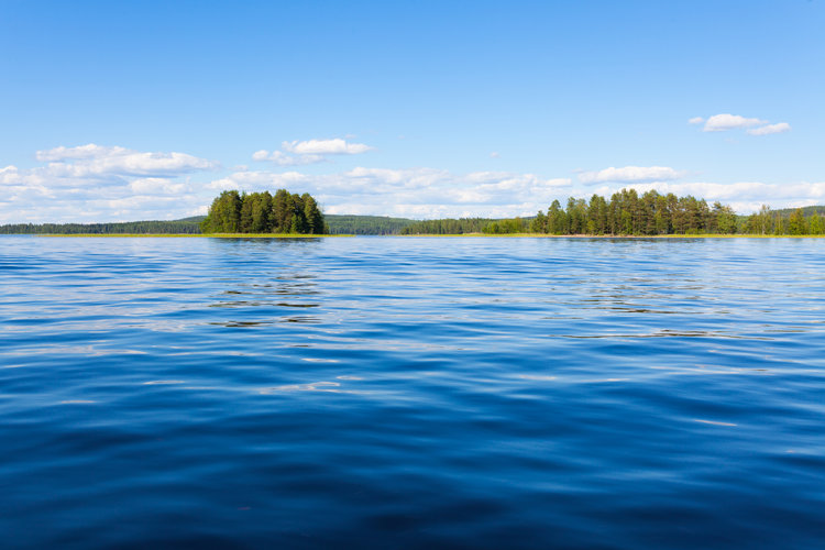 Seesteinen järvi. Ekopaaston teemakuva.