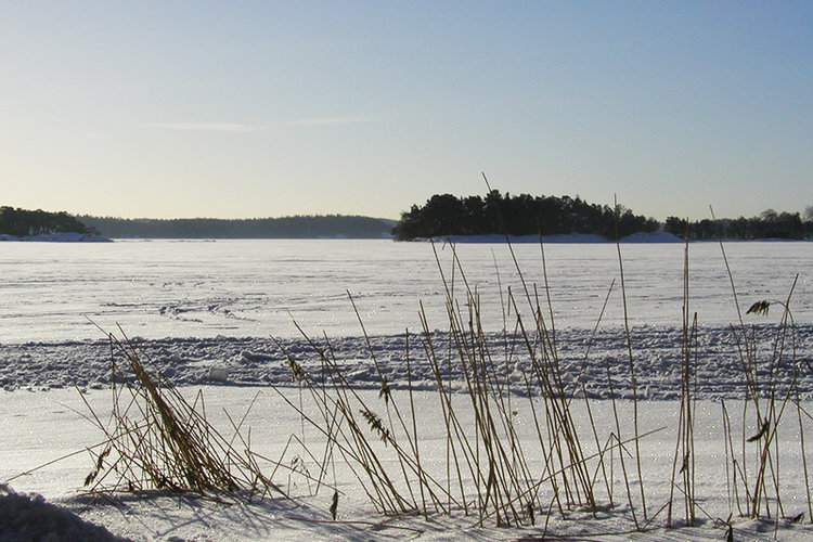 Heinänokan ranta talvella.