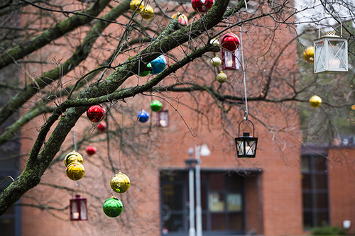 Joulupalloja puussa. 