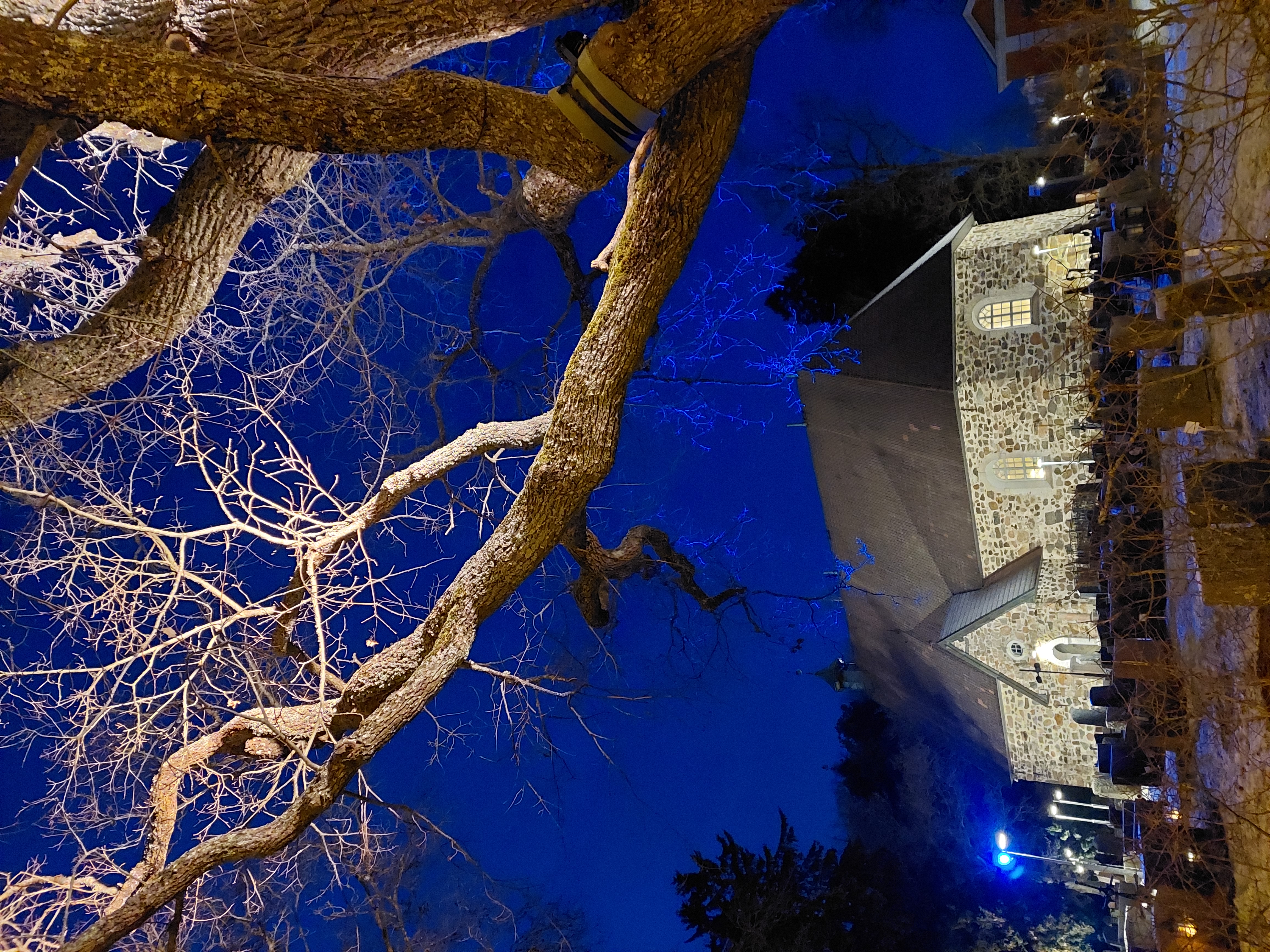 Valo heijastuu vanhan tammen oksista sinisessä maisemassa ja taustalla on valaistu Piikkiön kirkko.