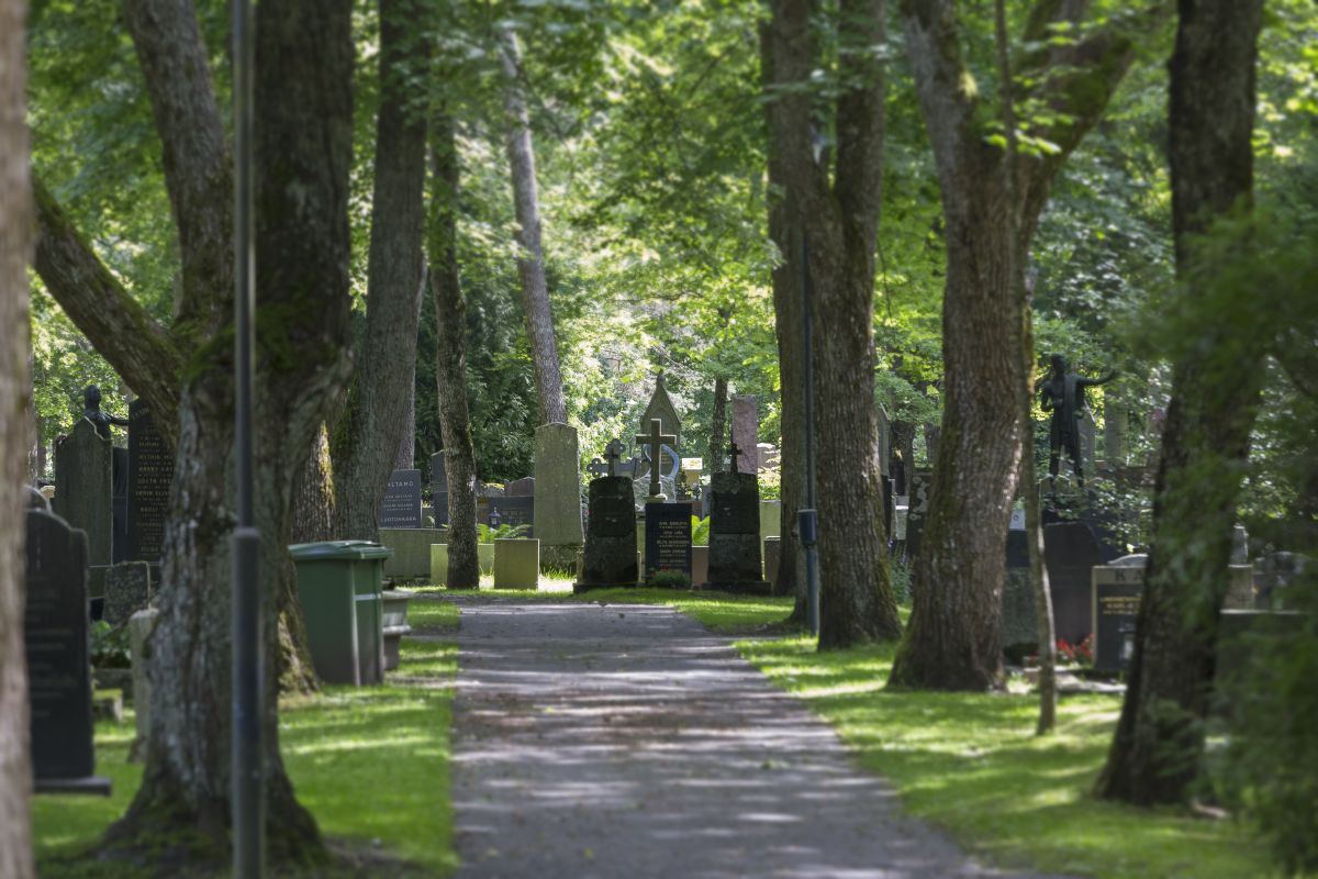 Näkymä hautausmaalta. Puistokäytävän reunoilla on hautakiviä. Kuvaaja Timo Jakonen.