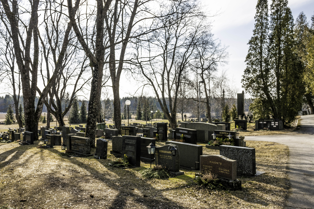 Hautakiviä ja lehdettömiä puita kevätauringossa.