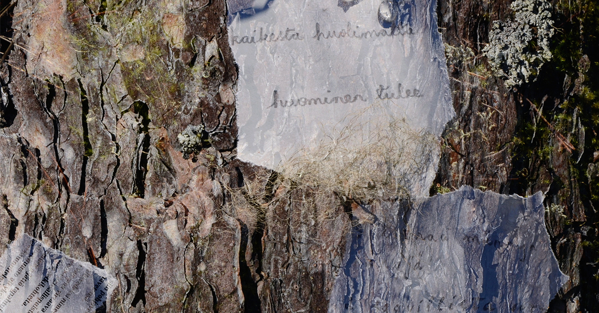 fragmentit kaarnalla kuva kaisa naukkarinen 1200x628.png