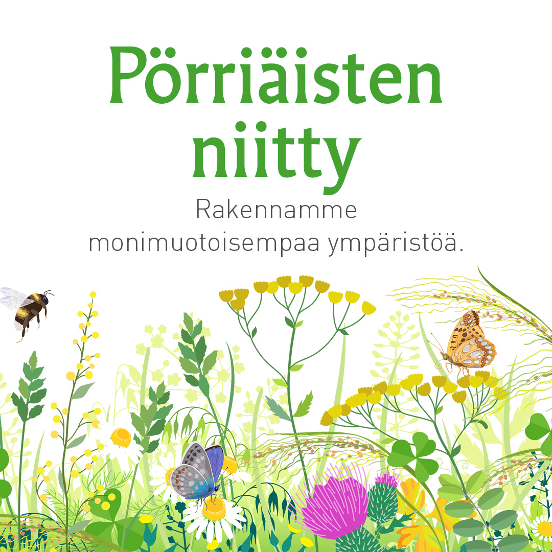 Piirroskuva kukkivasta niitystä. Teksti